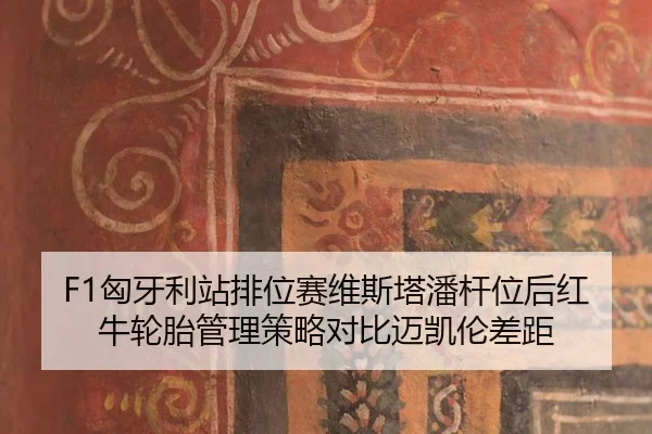 xiong-ya-li-zhan-pai-wei-sai-wei-si-ta-pan-gan-wei-hou-hong-niu-lun-tai-guan-li-ce-lve-dui-bi-mai-kai-lun-cha-ju-1-443.jpg